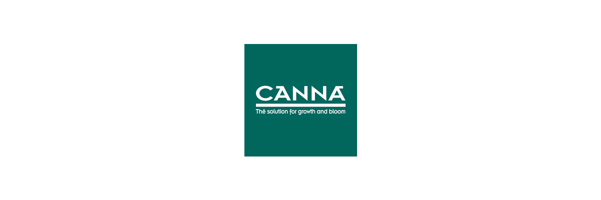 Canna