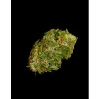 Royal Queen Seeds Apollo F1 Auto Fem. 3St.