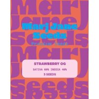 Marj Jane Strawberry OG Fem. 3St.