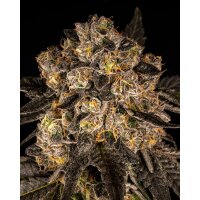 Cookies Seeds Cherry Fritter Fem 3St.