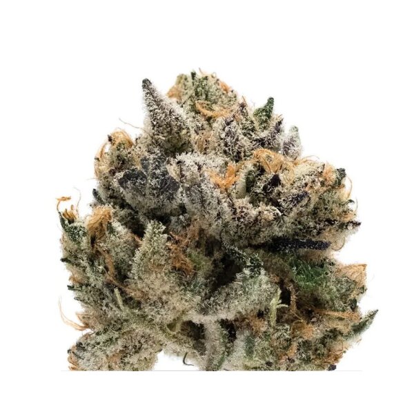 Growers Choice Tropical Cookies XXL Auto Fem 3St.