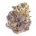 Growers Choice Cherry MAC Muffin Fem 3St.