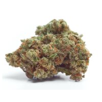 Growers Choice Gorilla Cookies Fem 3St.
